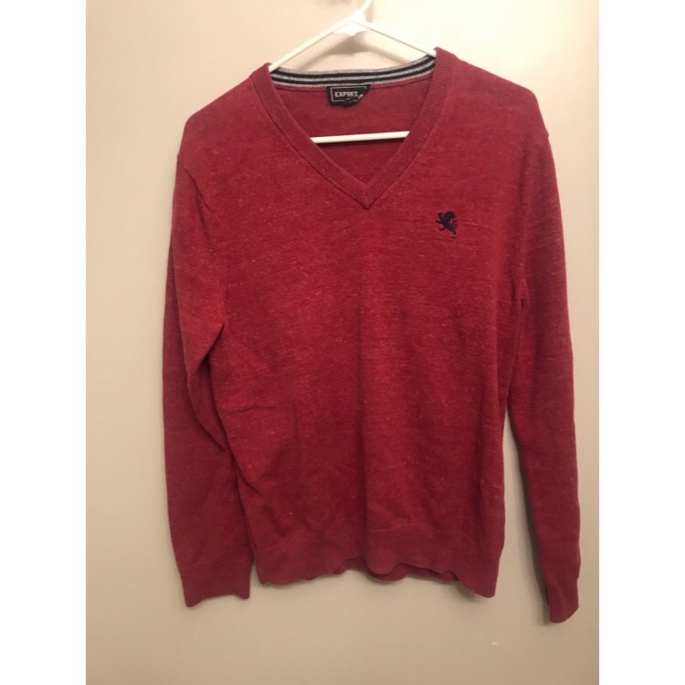 Express V-neck sweater